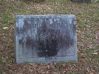 Stella White Beverly